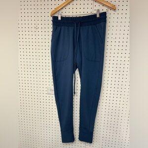 Free People Movement Blue Jogger Pants